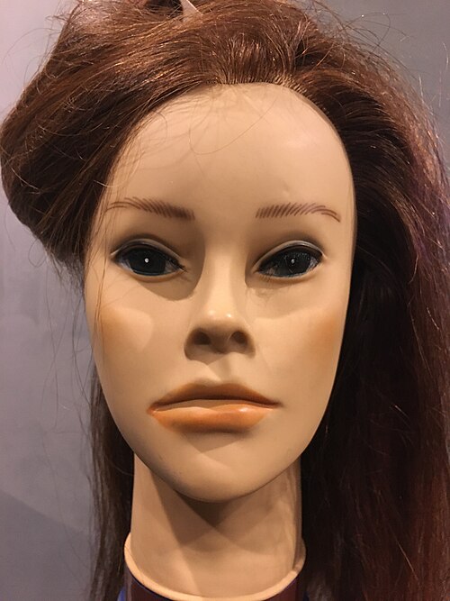 A mannequin head